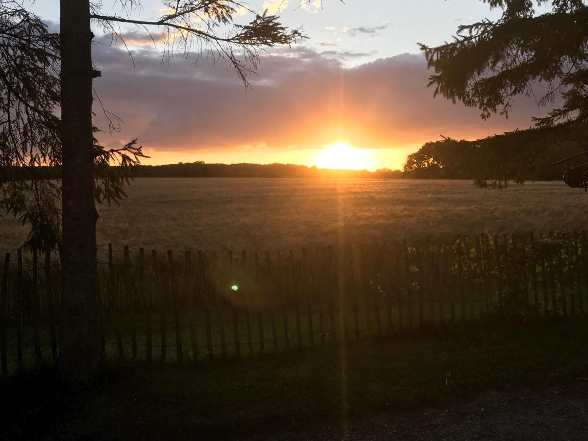 Bed & Breakfast 5 Min From E47 - Dogs Welcome - Cosy Farm Bnb Tureby Kültér fotó