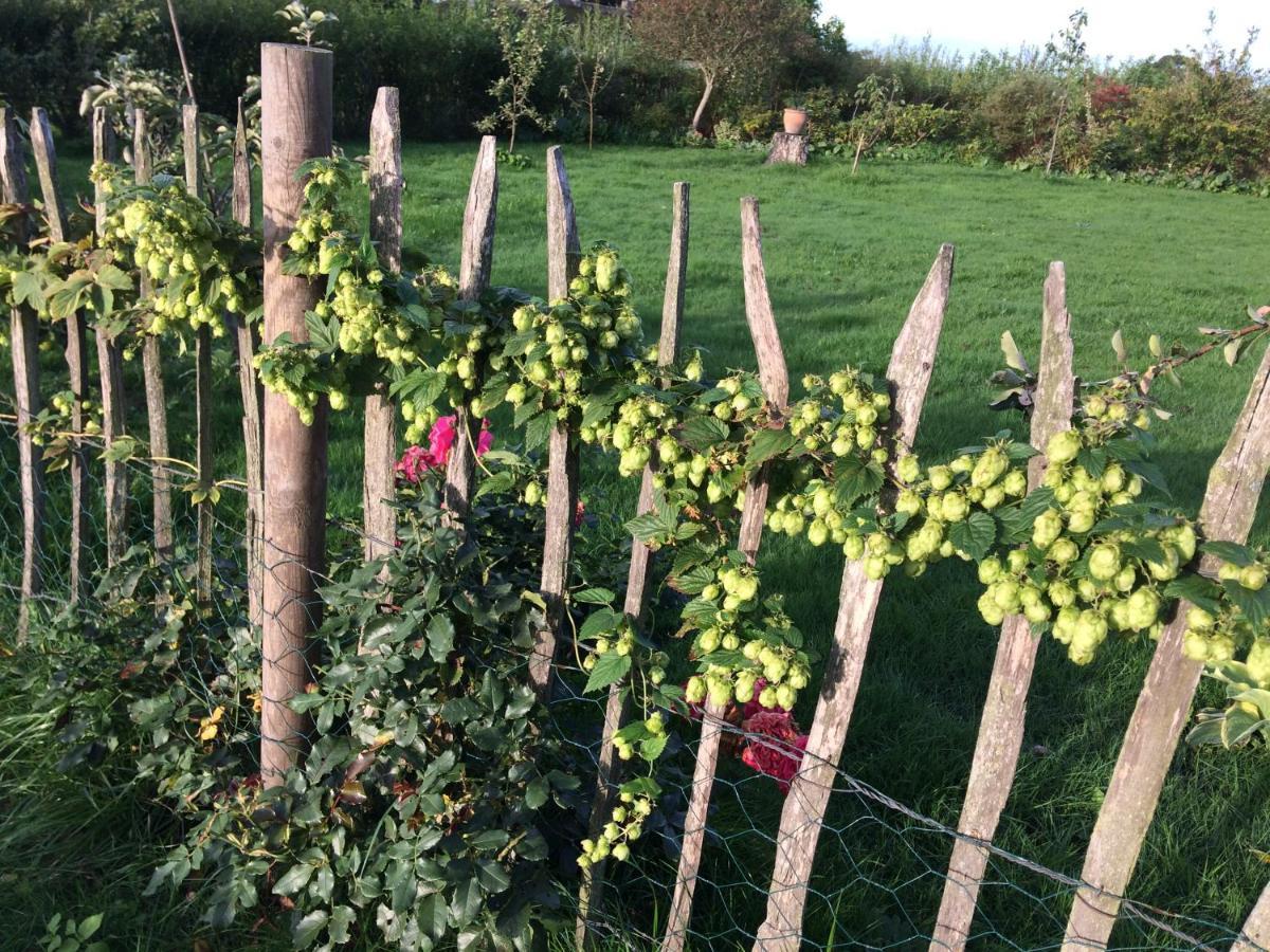 Bed & Breakfast 5 Min From E47 - Dogs Welcome - Cosy Farm Bnb Tureby Kültér fotó