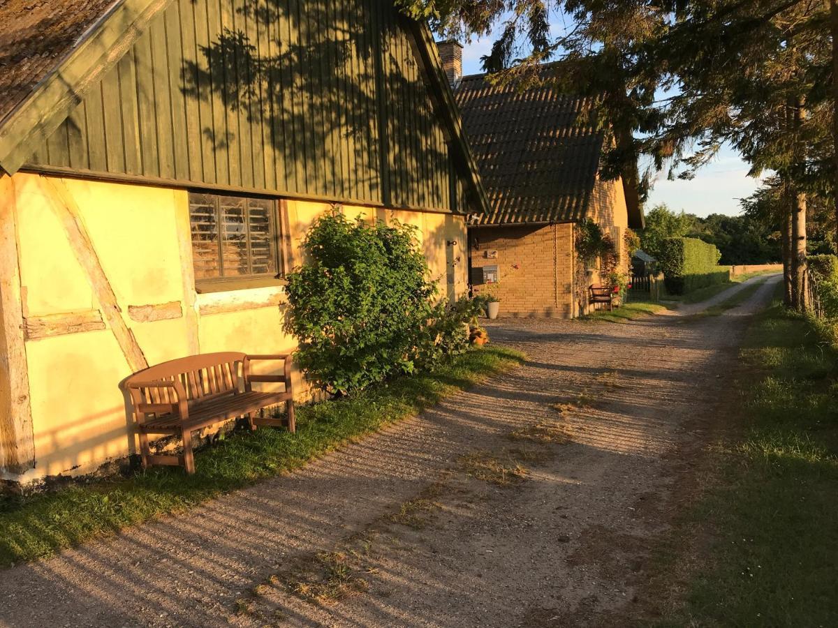Bed & Breakfast 5 Min From E47 - Dogs Welcome - Cosy Farm Bnb Tureby Kültér fotó