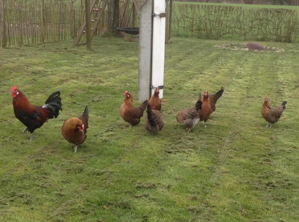 Bed & Breakfast 5 Min From E47 - Dogs Welcome - Cosy Farm Bnb Tureby Kültér fotó