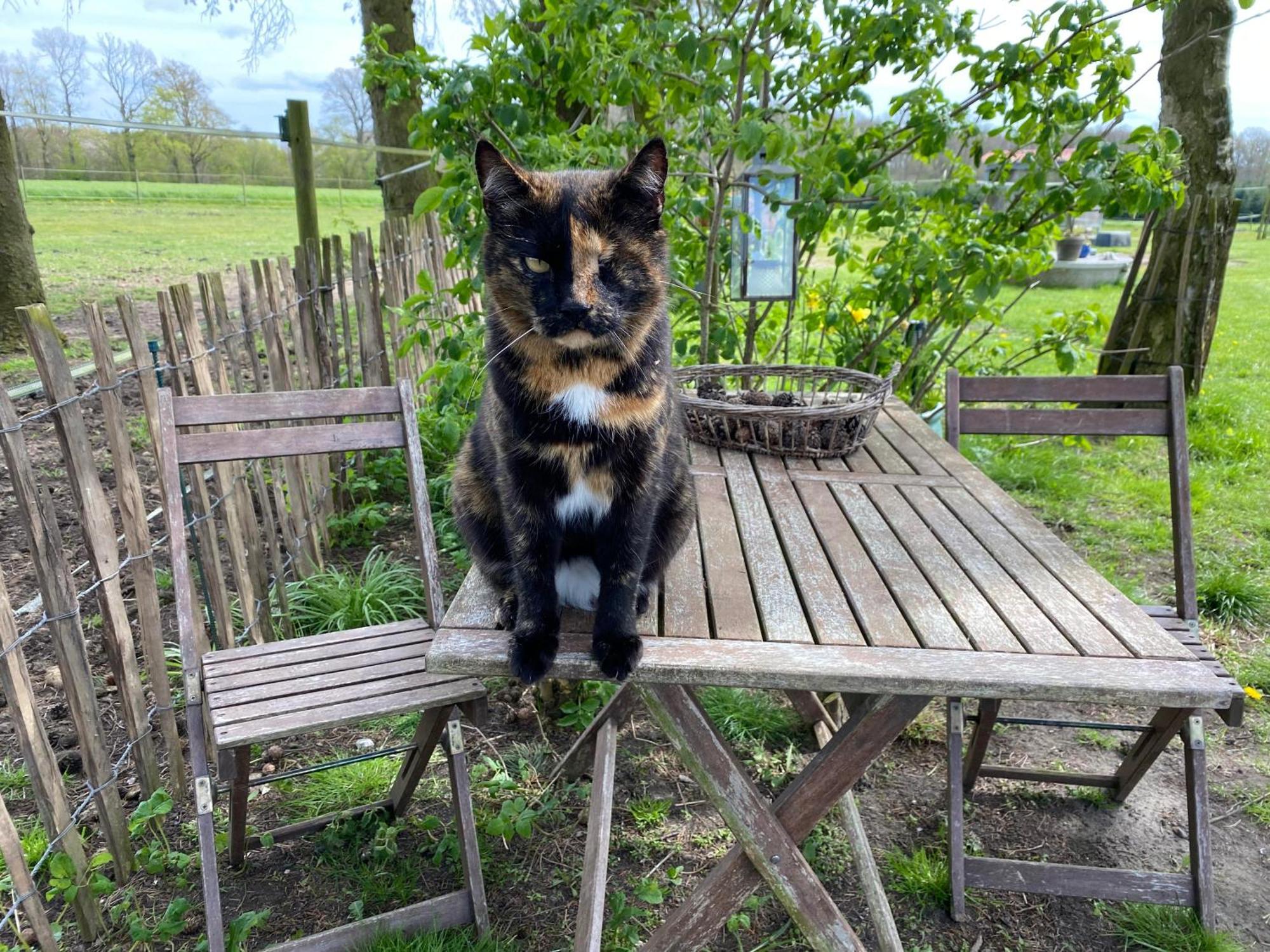 Bed & Breakfast 5 Min From E47 - Dogs Welcome - Cosy Farm Bnb Tureby Kültér fotó